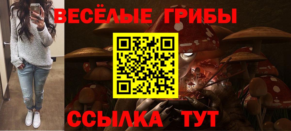 Лесозаводск  Псилоцибиновые грибы MAGIC MUSHROOMS  Галлюциногенные грибы Cubensis  Вход с VPN 